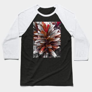 Carmine Crotons Baseball T-Shirt